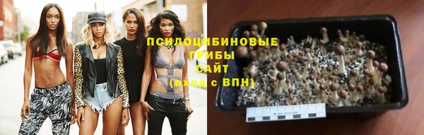 бошки Новокубанск
