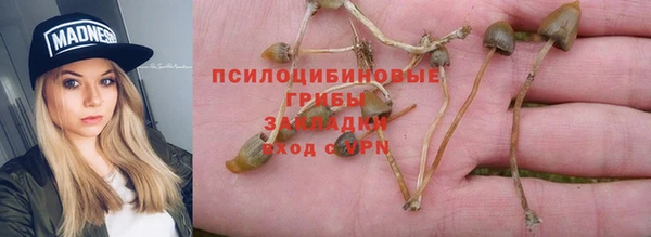 герыч Новодвинск