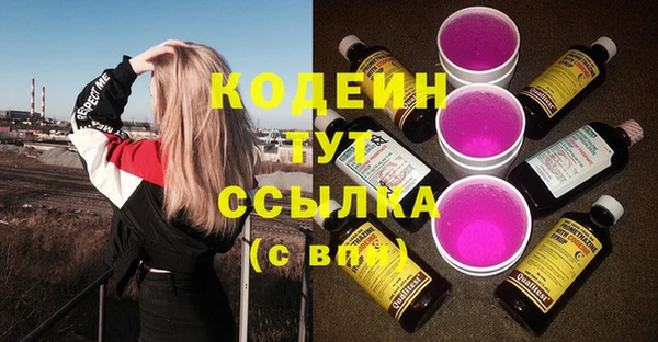 бошки Няндома