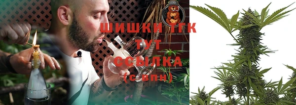 бошки Няндома