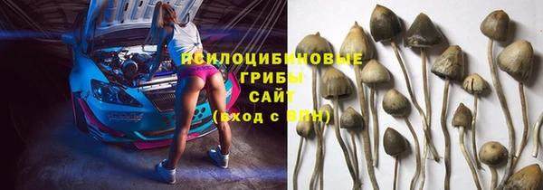 герыч Новодвинск