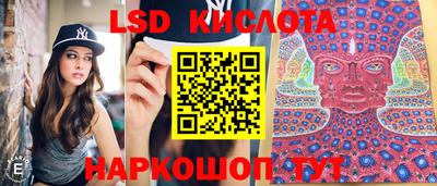 гидропоника Бузулук