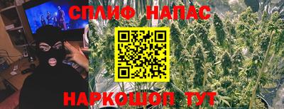 стафф Будённовск