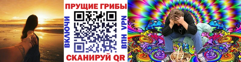 KRAKEN как зайти Зерноград Галлюциногенные грибы Psilocybe что такое