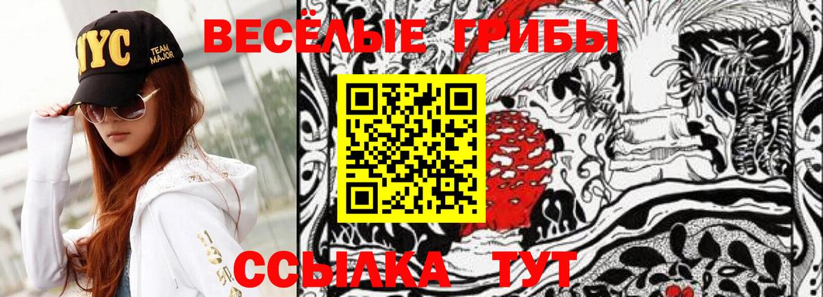 наркошоп  Зерноград  Галлюциногенные грибы Psilocybine cubensis 