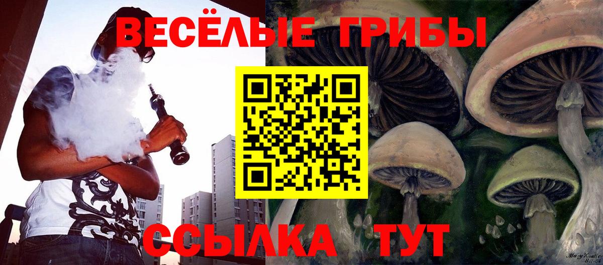 Псилоцибиновые грибы мухоморы  Галлюциногенные грибы Cubensis  Зерноград  наркошоп  Вход с VPN 