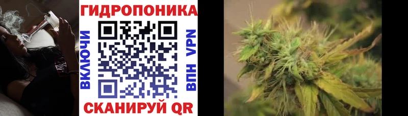 купить ОМГ ОМГ ONION сайты даркнета наркотические препараты Зерноград Шишки марихуана гибрид